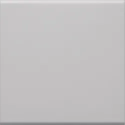Hager GW1B7035 Wippe 1-fach für Schalter/Taster, für Rahmenblende 55, hfr, lichtgrau