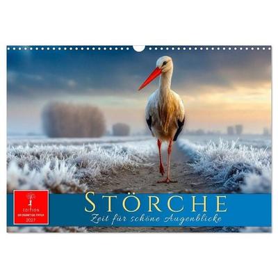 Störche - Zeit für schöne Augenblicke (Wandkalender 2027 DIN A3 quer), CALVENDO Monatskalender
