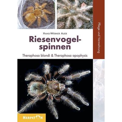 Riesenvogelspinnen, Taschenbuch von Hans W. Auer, Herpeton, 978-3-936180-26-8