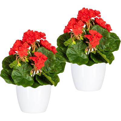 OTTO home "Havel" im Topf, 2er Set