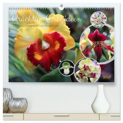 Prächtige Orchideen (hochwertiger Premium Wandkalender 2027 DIN A2 quer), Kunstdruck in Hochglanz