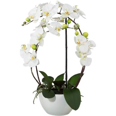 Kunstpflanze CREATIV GREEN "Phalaenopsis", weiß, H:52cm, Keramik, Kunststoff, Kunstpflanzen, Kunstpflanze