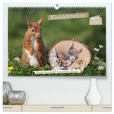 Eichhörnchen - Kleine Fotomodelle mit großem Charme (hochwertiger Premium Wandkalender 2027 DIN A2 quer), Kunstdruck in Hochglanz