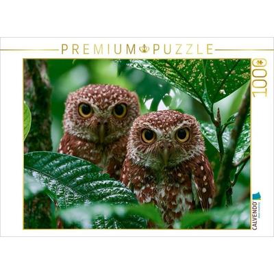 CALVENDO Puzzle Ein Motiv aus dem Kalender Hüter der Nacht | 1000 Teile Lege-Größe 64x48cm Foto-Puzzle für glückliche Stunden, von , Calvendo Puzzle