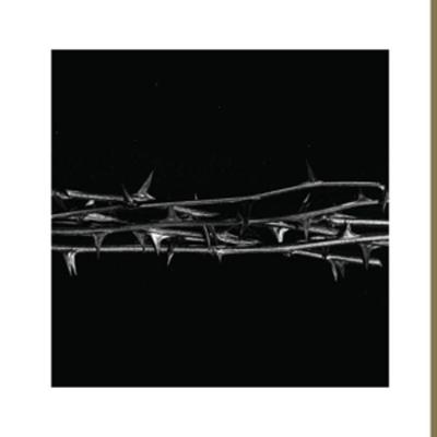 De Doorn - Amenra, Vinyl