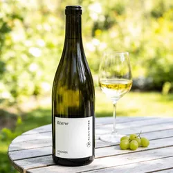 Weingut Klaus Meyer 2024 Klaus & Marius Meyer Viognier Reserve vom Löss 2024 Viognier Deutschland