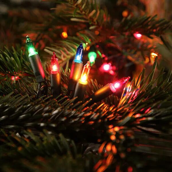 Noma 240 LED Multicolour Classic String Lights