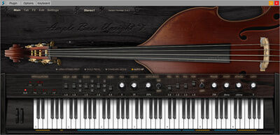 Ample Sound Ample Bass Upright v4