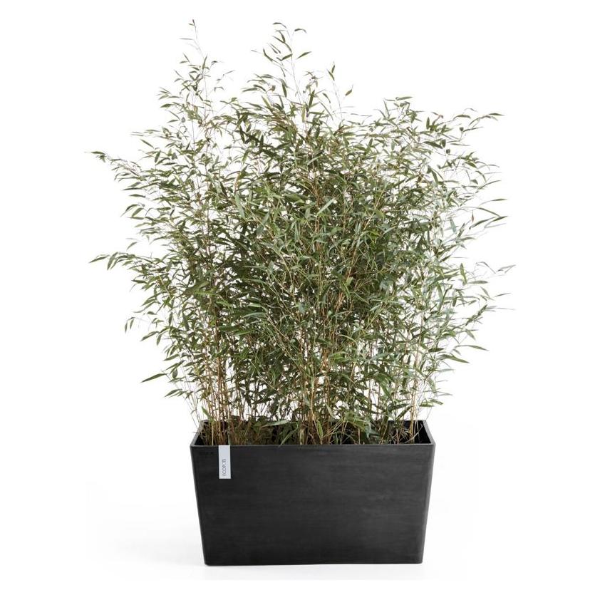 Ecopots Paris (80 x 38 x 40 cm) (PR.80.DG)
