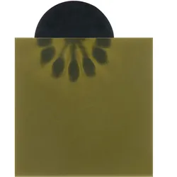 Flux-Detektor Folie zum Anzeigen von Magnetfeldern 150 x 150 mm, PET, hellgrün, gold