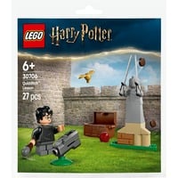 30706 Harry Potter Quidditch Training, Konstruktionsspielzeug Polybag