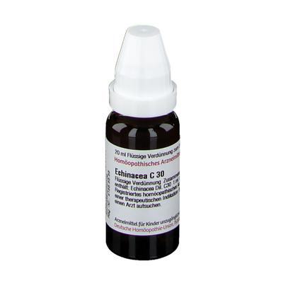 Echinacea HAB C 30 Dilution 20 ml