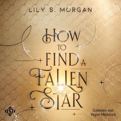 How To Find a Fallen Star (New York Magics 2) - Lily S. Morgan, Audio, 9783844936445