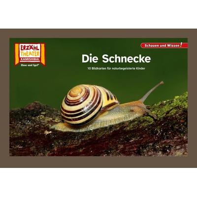 Die Schnecke / Kamishibai Bildkarten, Nonbook von , Hase und Igel Verlag