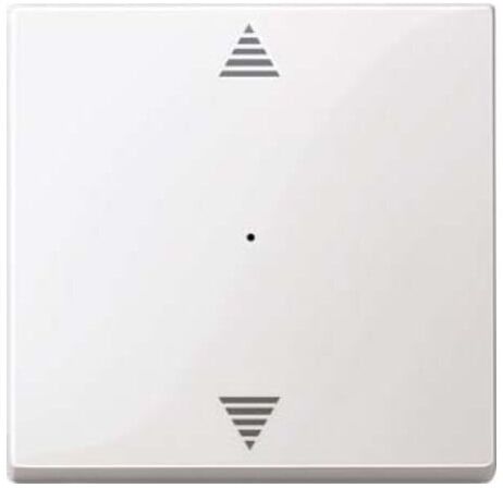 Merten Bascule pws/gl pour module bouton-poussoir 1f. 619419 (619419)