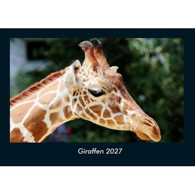 Giraffen 2027 Fotokalender DIN A4