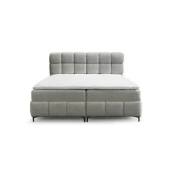 BOXBETT Sophie In Rolf