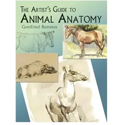 The Artist's Guide To Animal Anatomy, Sachbücher von Gottfried Bammes