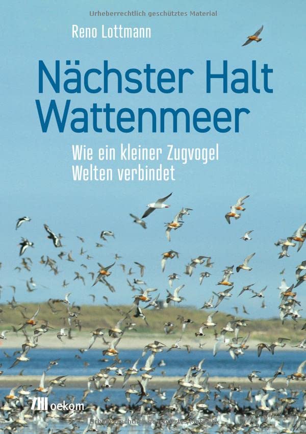 Reno Lottmann - Nächster Halt Wattenmeer: Wie ein kleiner Zugvogel Welten verbindet - Preis vom 09.10.2026 07:28:09 h