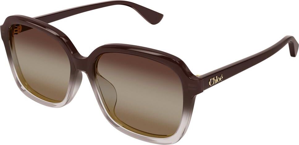 Chloé  - CH0390SK 003 Brown - Lunettes de soleil