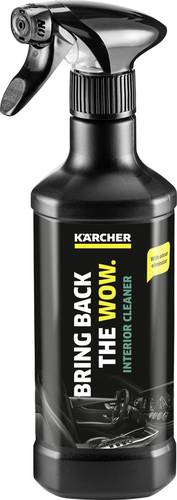 Kärcher Home & Garden 6.296-106.0 RM 651 Innenraumreiniger 500ml