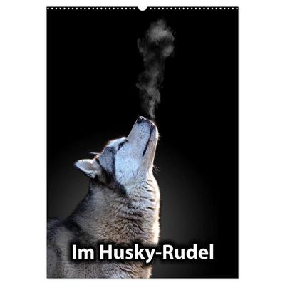 Im Husky-Rudel (Wandkalender 2027 DIN A2 hoch), CALVENDO Monatskalender