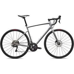 Specialized Allez Comp Dolomite Metallic/Dove Grey