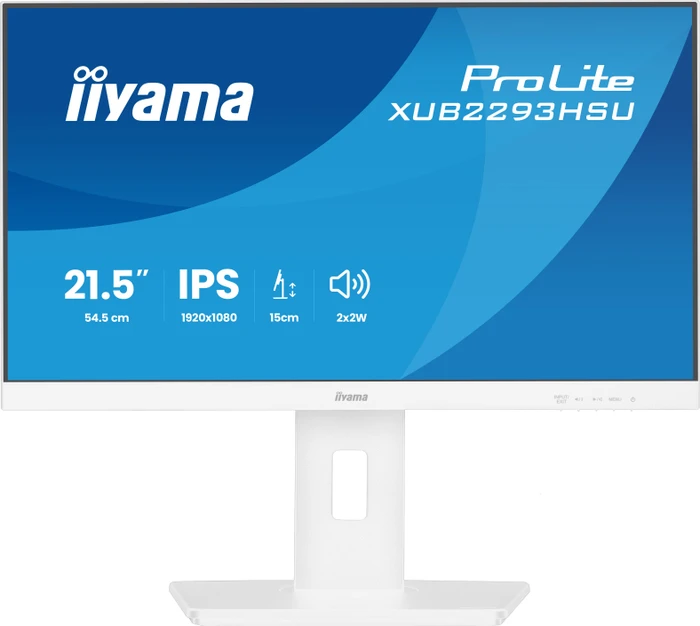 21" iiyama ProLite XUB2293HSU-W7