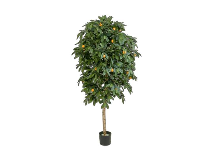 Lebensechte Kunstpflanze „Citrus Mandarine“, verschiedene Grössen Cream Baq Design