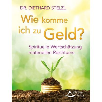 Wie komme ich zu Geld?, Taschenbuch von Diethard Stelzl, Schirner, 978-3-8434-1204-9