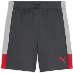 PUMA Herren Shorts IndividualLIGA Training Shorts, Größe L in Grau Grau
