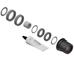 DT SWISS Freilaufkörper Upgrade Kit MTB Sperrklinke auf Ratchet LN Hy