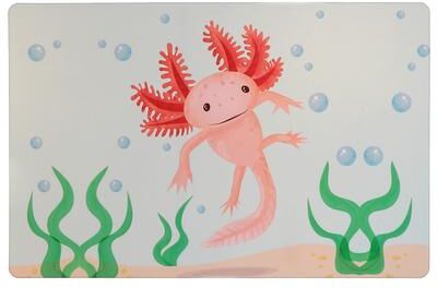 IH Casa Decor Plastic Placemat Axolotl - Set of 12