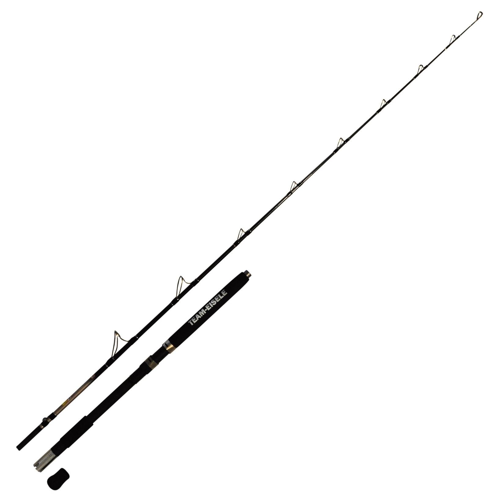 Dieter Eisele Norge Challenger Rute 2,10m 30lb Norwegenrute Meeresrute