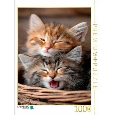 CALVENDO Puzzle Müde Katzenbabys | 1000 Teile Lege-Größe 64x48cm Foto-Puzzle für glückliche Stunden, von , Calvendo Puzzle