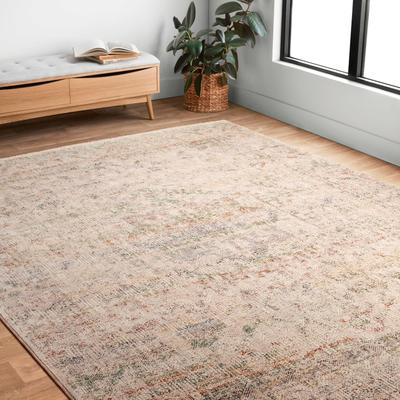 Alexander Home Leah Vintage Shabby Chic Area Rug