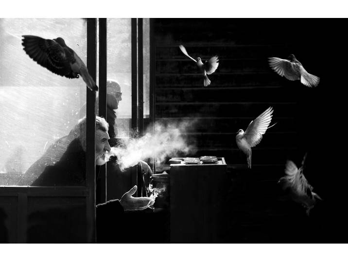 Papermoon Photo-Art JUAN LUIS DURAN, DER MANN DER TAUBEN