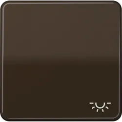 Jung Wippe Symbol LICHT br CD 590 L BR CD590LBR