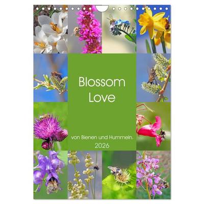 Blossom Love, von Bienen und Hummeln (Wandkalender 2026 DIN A4 hoch), CALVENDO Monatskalender