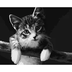 Malen nach Zahlen auf Keilrahmen "Katze", 50 x 40 cm
