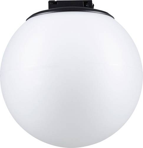 Paulmann Uline Hochvolt-Schienensystem-Leuchte 8W LED Schwarz