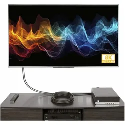 StarTech DisplayPort – DisplayPort (10 m), Videokabel, Schwarz