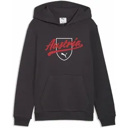 ÖFB Kinderpullover Culture Hoodie - grau / 140