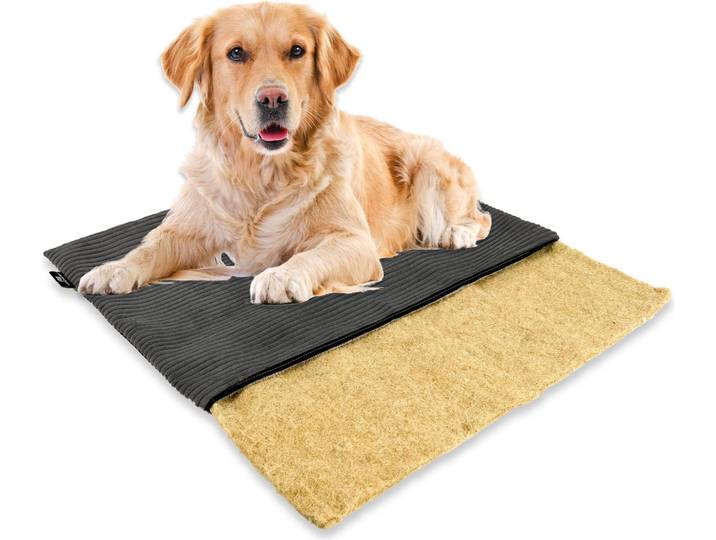 mümmi Hundebett HANF - geruchsbindend Allergikerfreundlich Hundekissen Cord-Bezug waschbar bei 60° Hundematte eckig rutschfest Hundedecke , Hundematratze Germany, Farbe:dunkelgrau, Größe:Größe 1