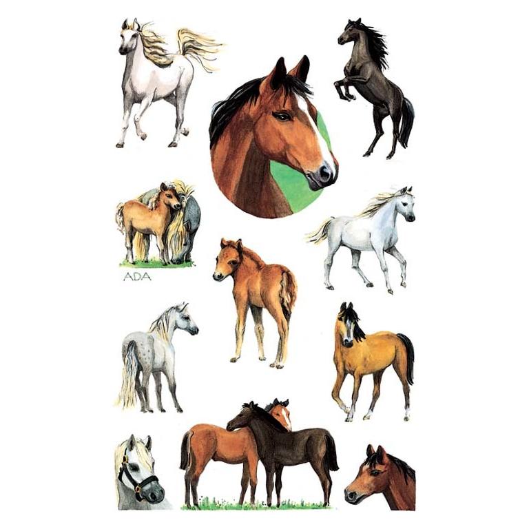 Z-Design Kinder Aufkleber (22 Sticker) (53483)