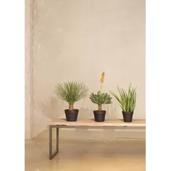 Yucca rostrata Kunstpflanze UV-Stabil 55 cm