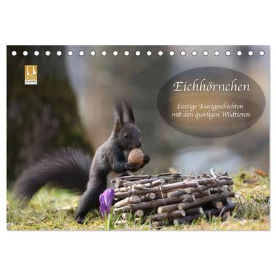 Eichhörnchen - Lustige Kurzgeschichten mit den quirligen Wildtieren (Tischkalender 2026 DIN A5 quer), CALVENDO Monatskalender