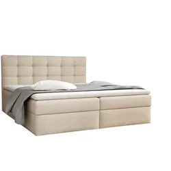 BOXBETT Doriano In Sawana