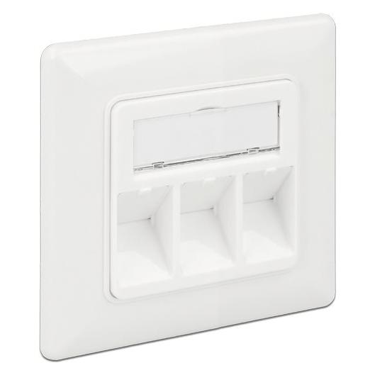 Delock Keystone Wall Outlet (86194)