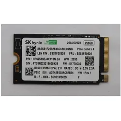 Lenovo Ssd Asm (256 GB, M.2 2242), SSD